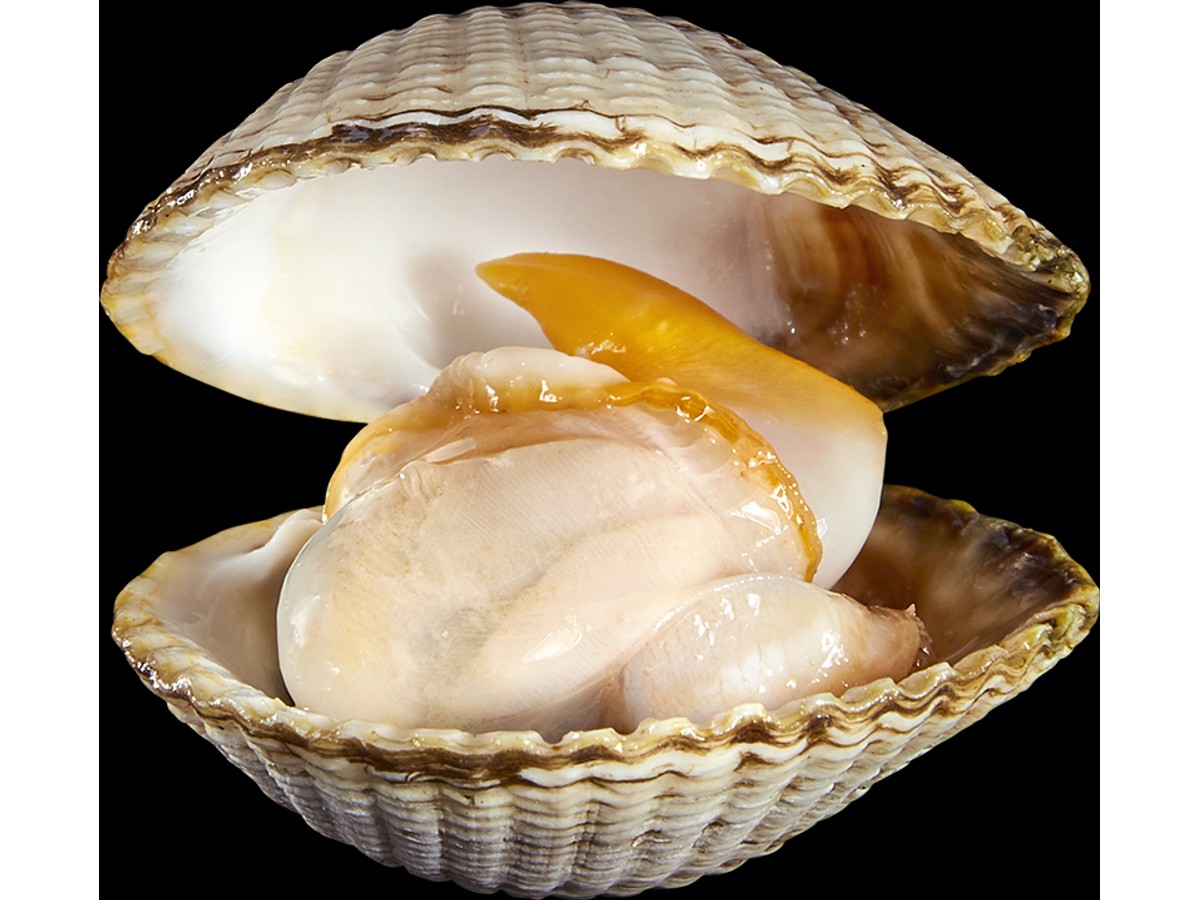 berberechos