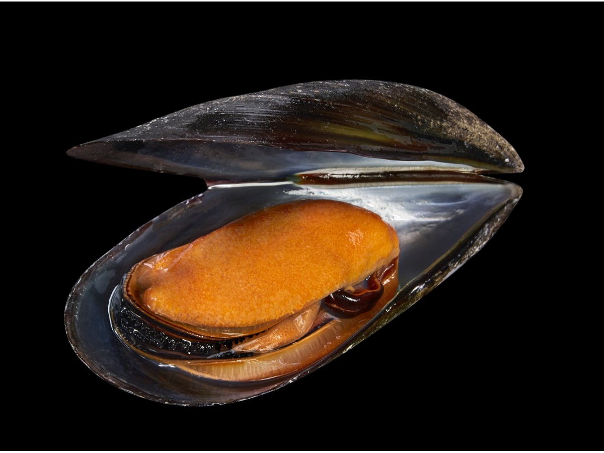 mejillones escabeche