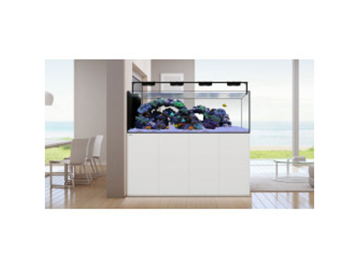 Waterbox Peninsula 6025 con mesa