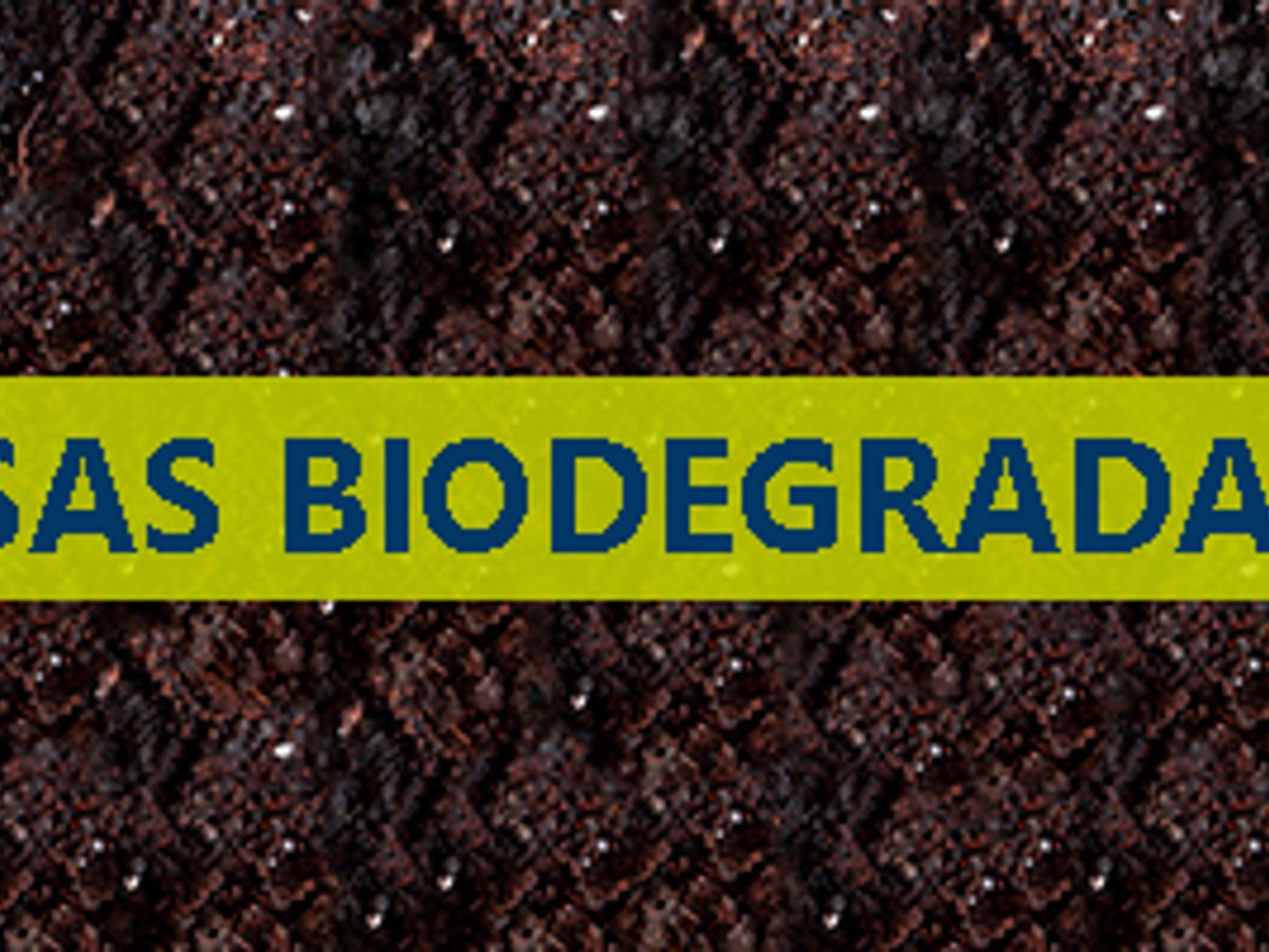 Bolsas biodegradables