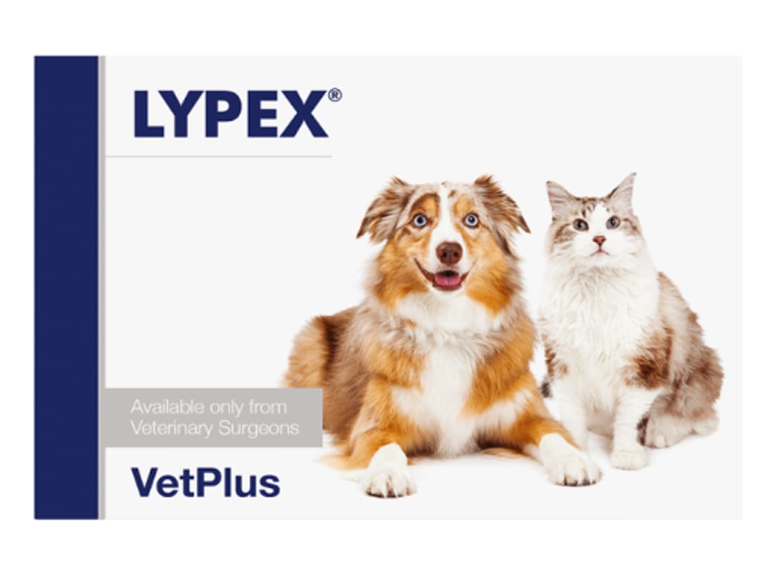 Productos para perros