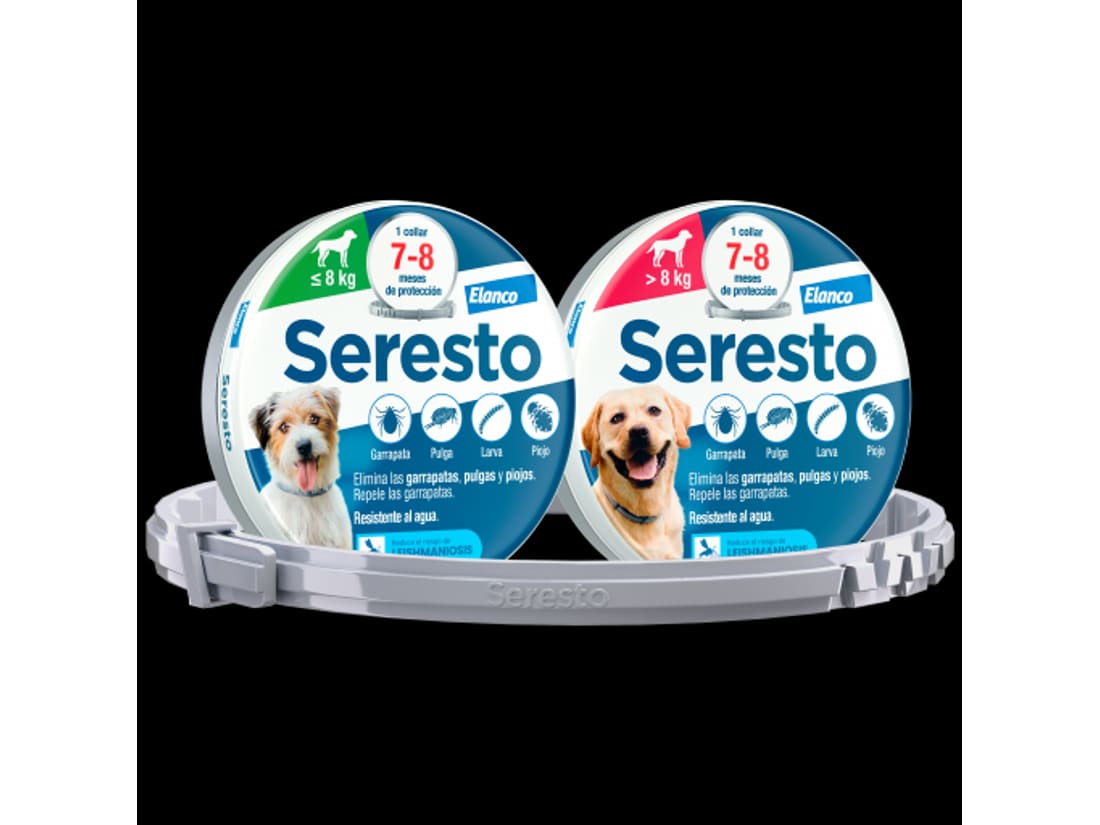 Antiparasitarios para perros