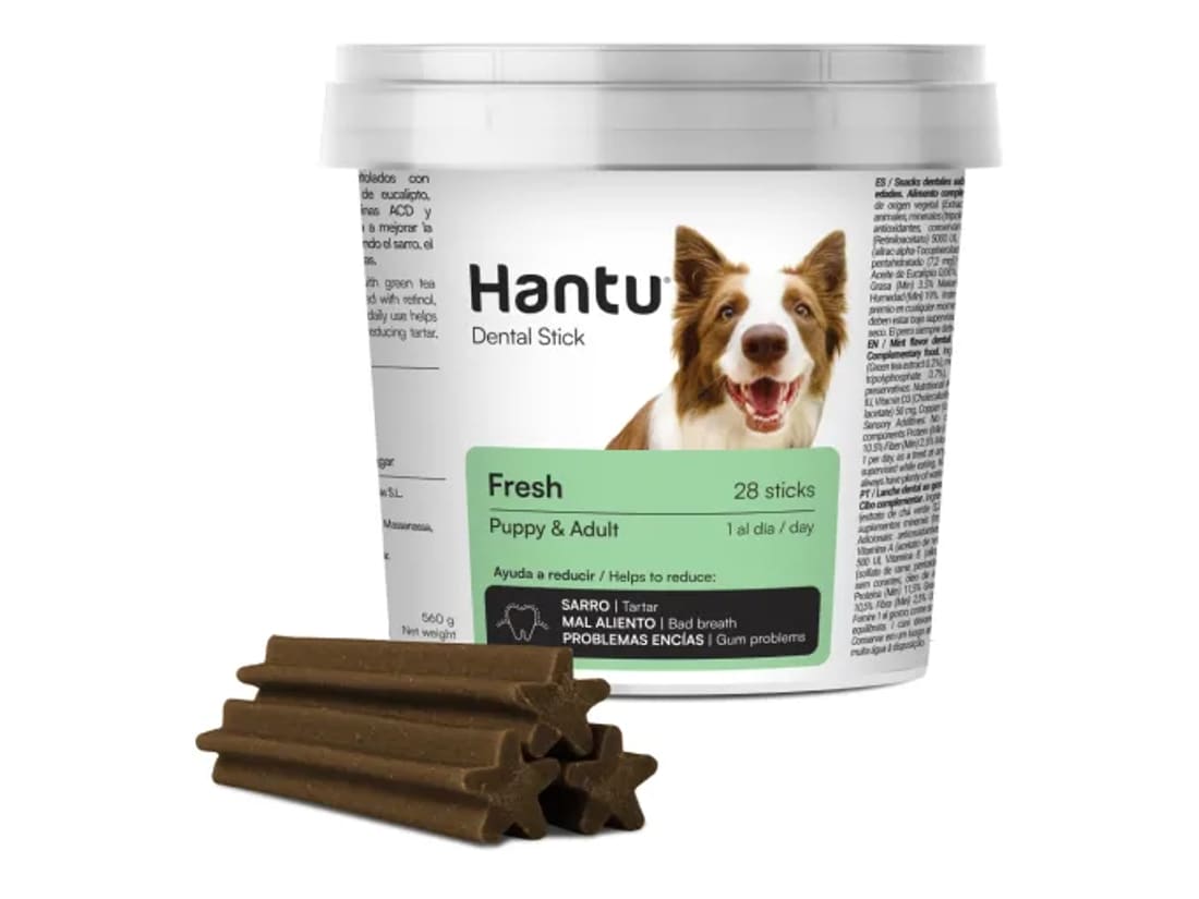 Snacks para perros