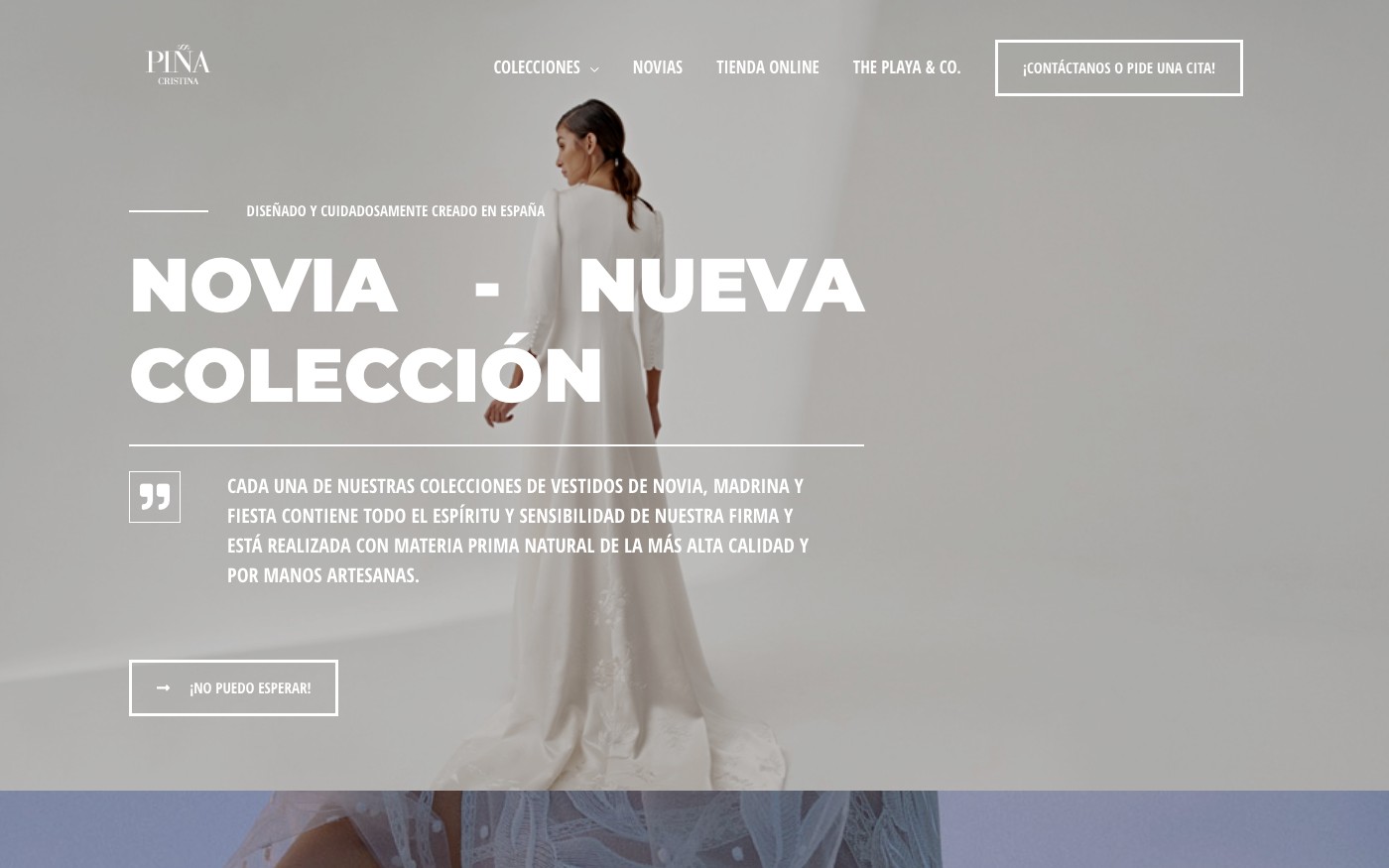 Captura limpia de la home oficial de Cristina Piña