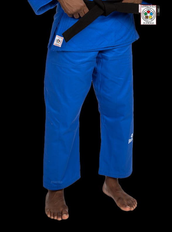 Judo 2006