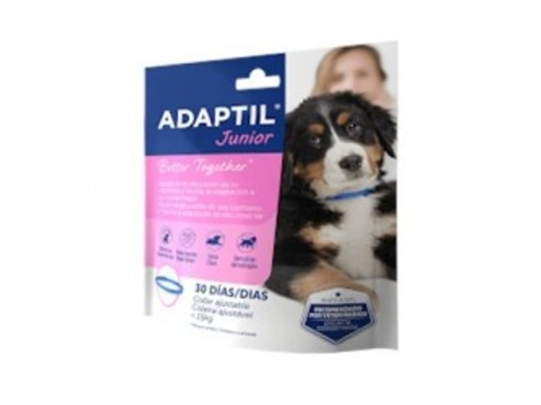 Tienda para perros