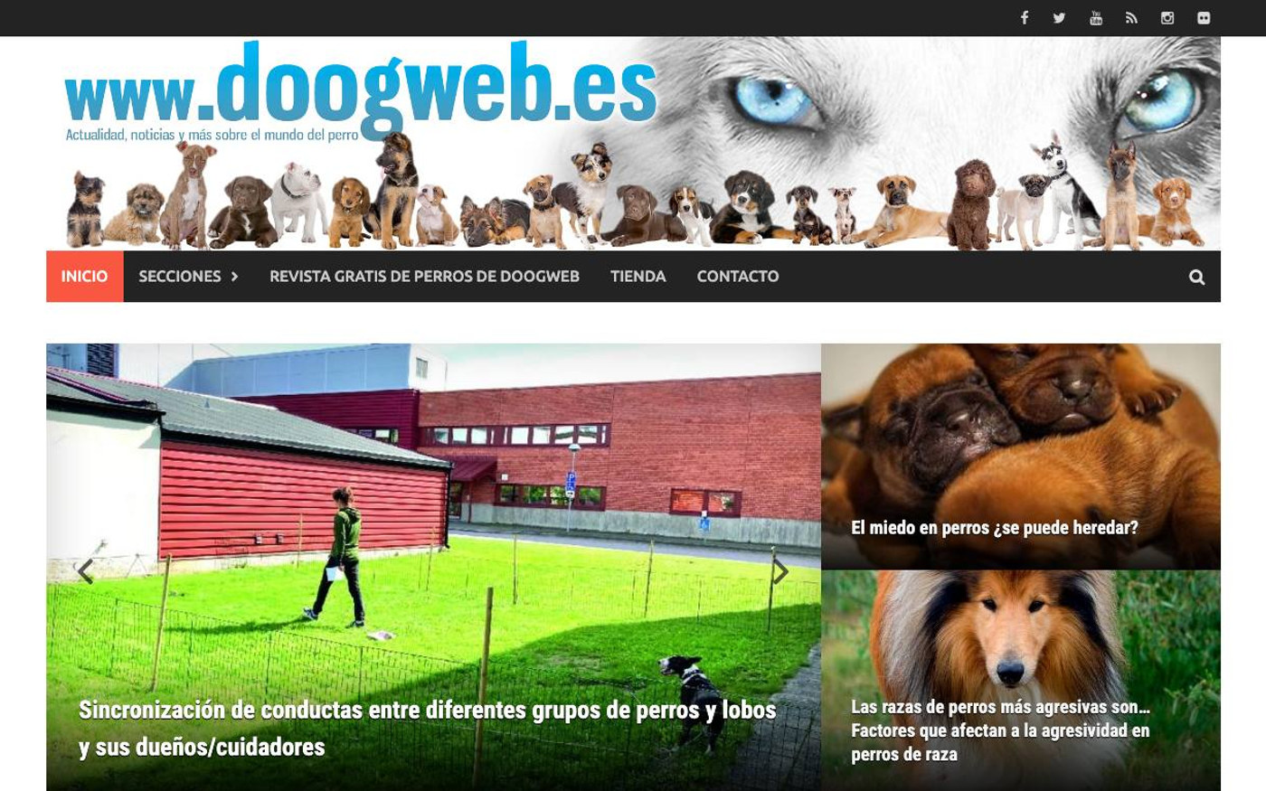 Captura de pantalla de la home de Doogweb