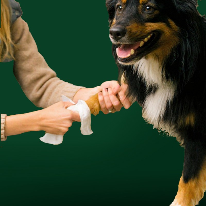 Grooming Wipes