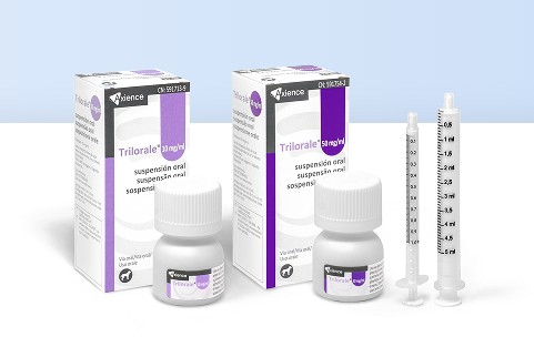 Asesoría Online en Endocrinología Veterinaria