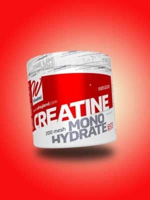 Wheyland Creatina Monohidrato 200 Mesh