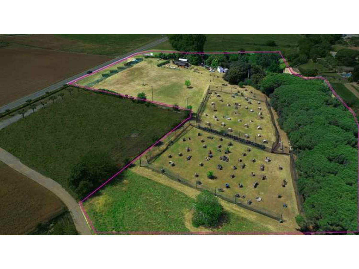 Paintball