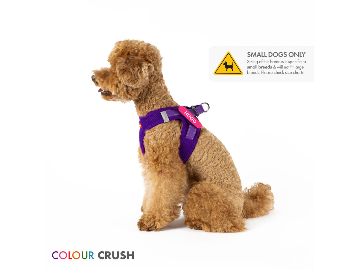 EzyDog Formfit Mesh Harness