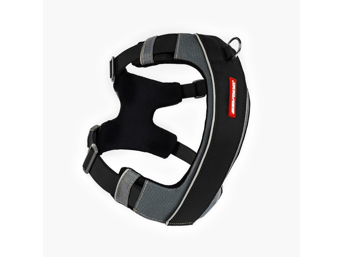 EzyDog X-Link Harness