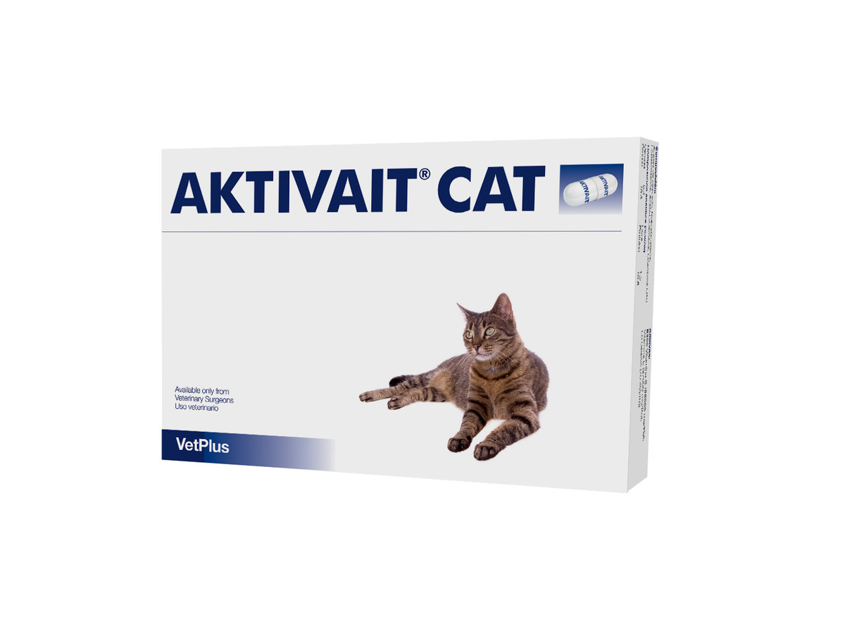 AKTIVAIT GATOS 60 CAPSULAS | PARA EL SISTEMA NERVIOSO CENTRAL