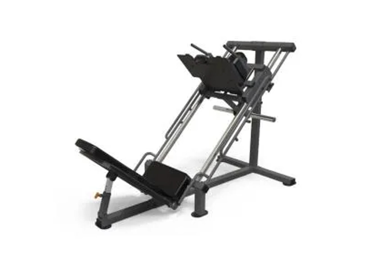 Dual Squat y Leg Press Ion Fitness DSLP1000