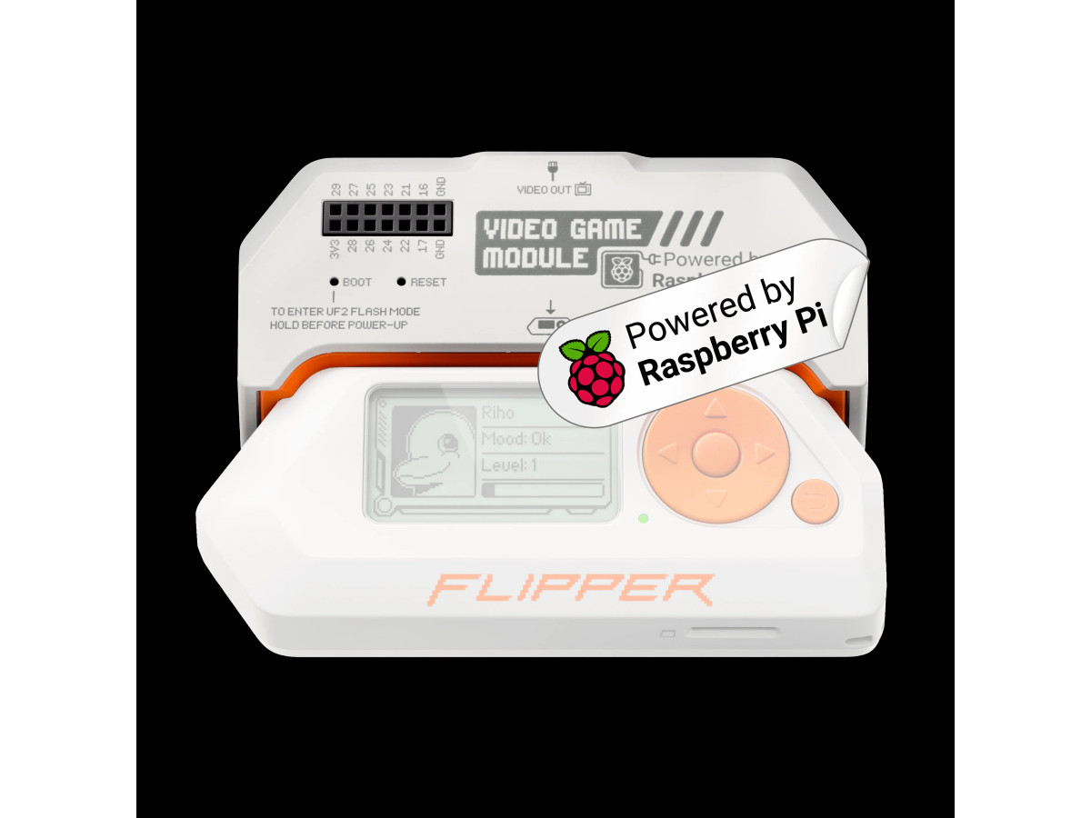 Video Game Module for Flipper Zero