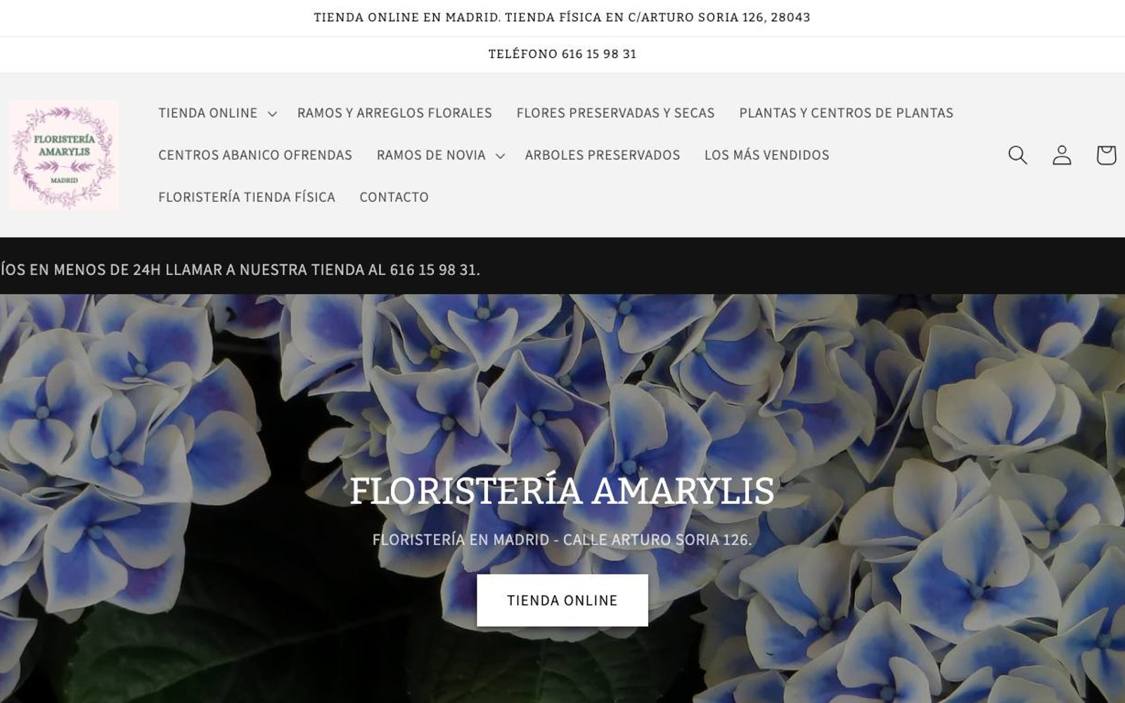 Captura limpia de la home oficial de Floristería Amarylis