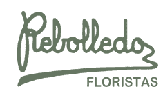 Logo de Floristería Rebolledo