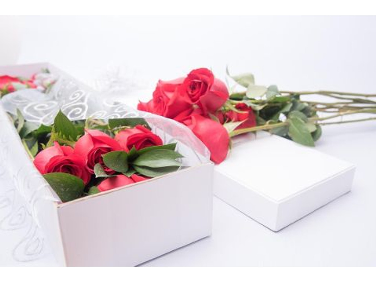 Caja de 10 rosas Lorna