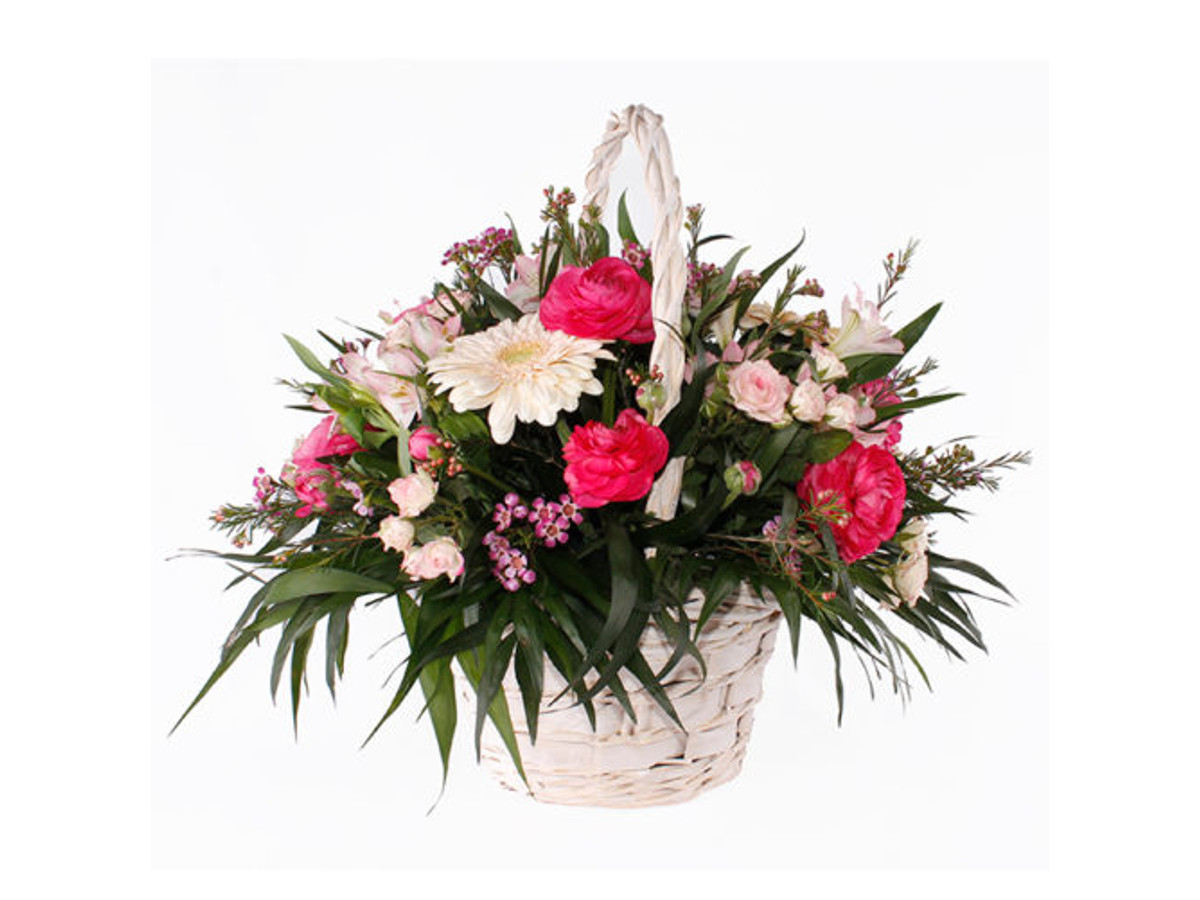 Paraíso floral