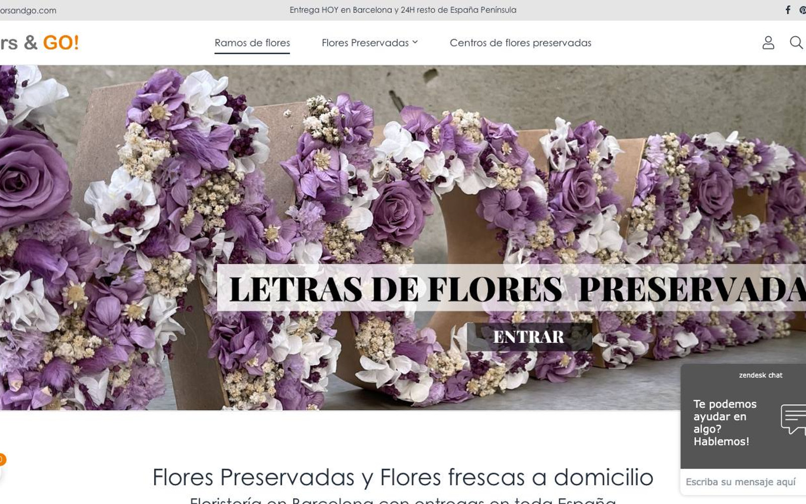 Captura limpia de la home oficial de flors & GO!