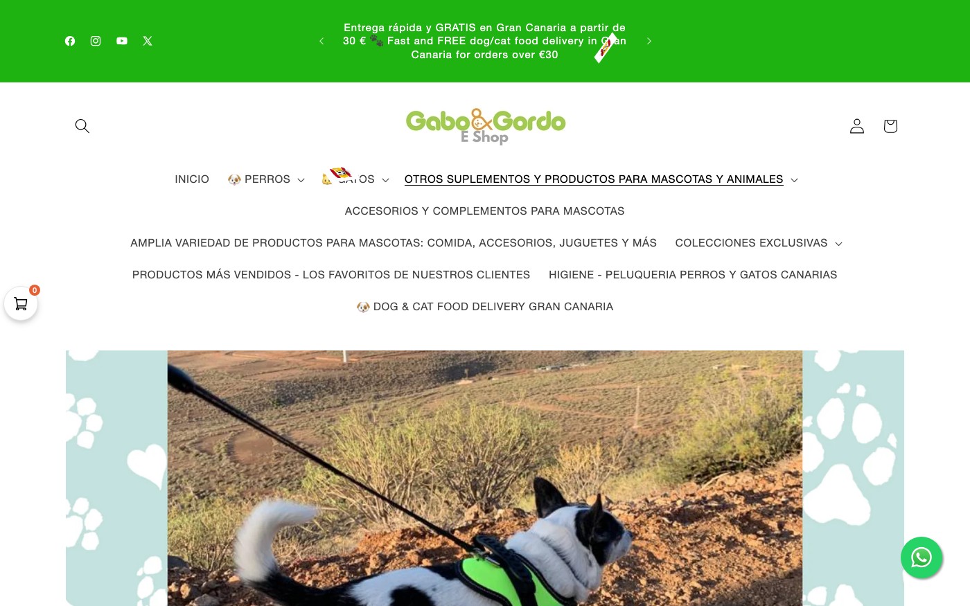 Captura de pantalla de la home de Gabo y Gordoeshop