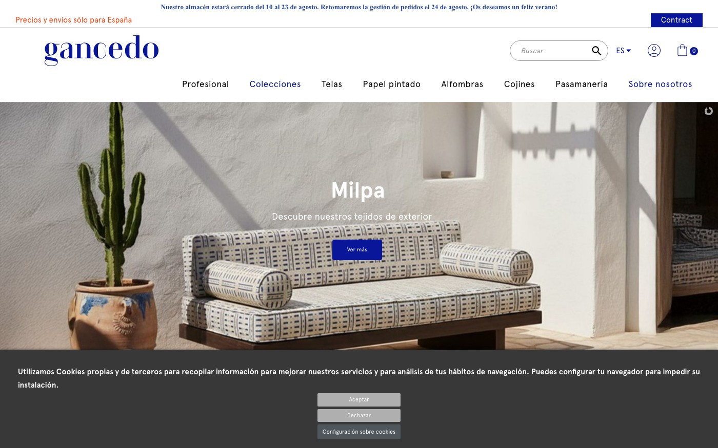 Captura limpia de la home oficial de Gancedo