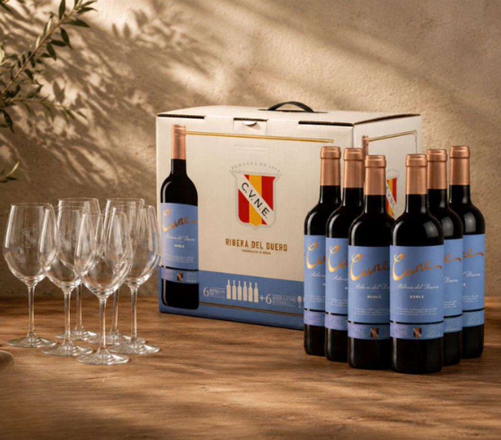 Experiencia CVNE Ribera del Duero