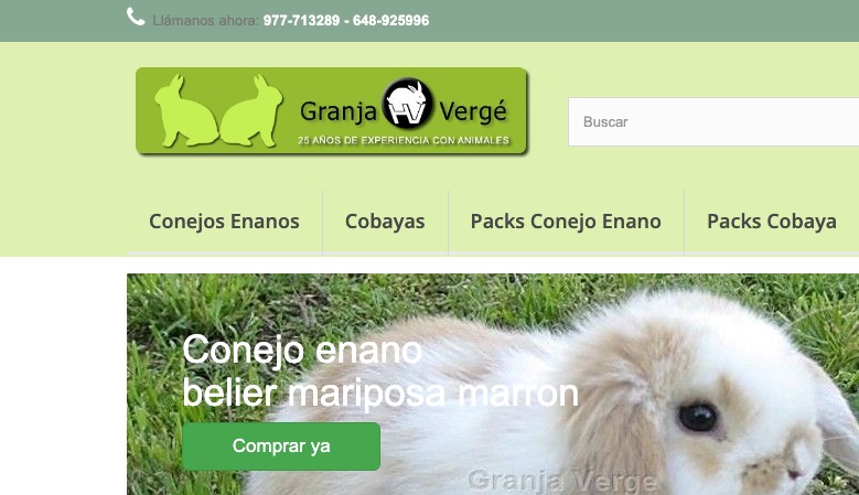 Criadores de conejos enanos, cobayas, chinchillas con más de 25 años de experiencia.