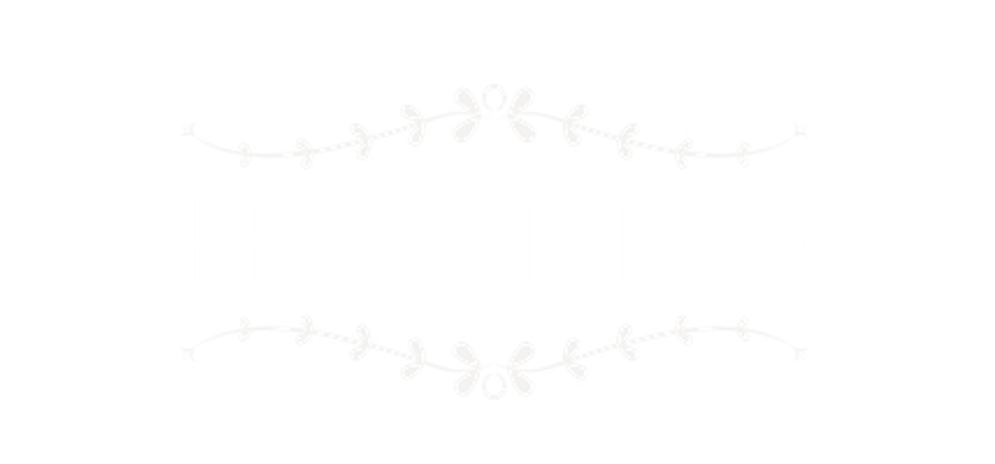 Logo de Hodeko