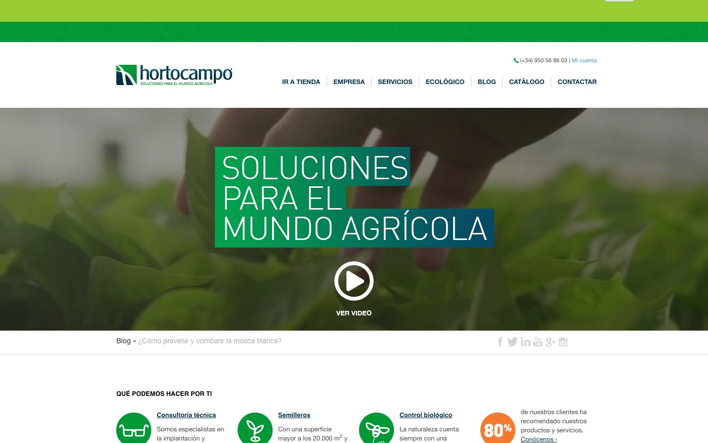 Captura de pantalla de la home de Hortocampo
