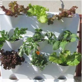 Jardines verticales