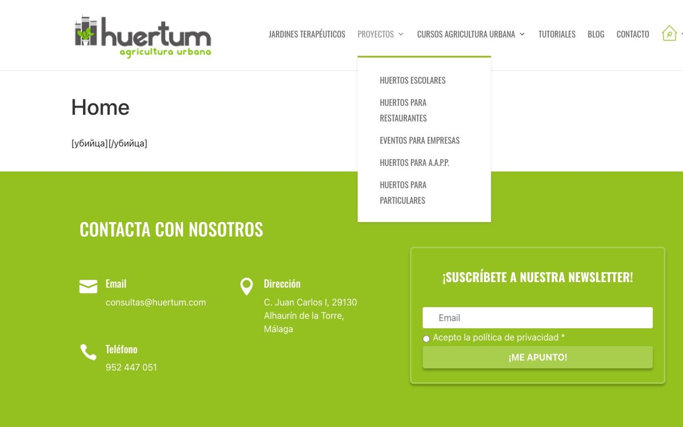Captura limpia de la home oficial de Huertum