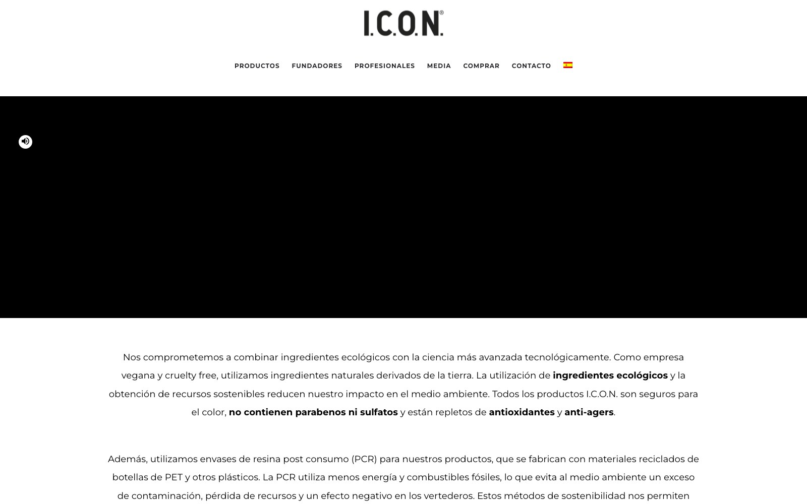 Captura real de la home de I.C.O.N.