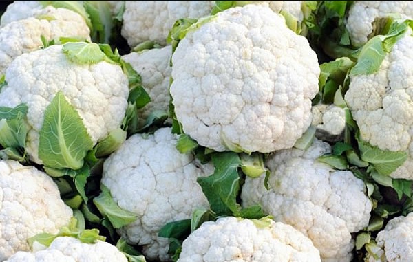 abonos.jpg (600×380)