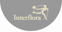 Logo de Interflora