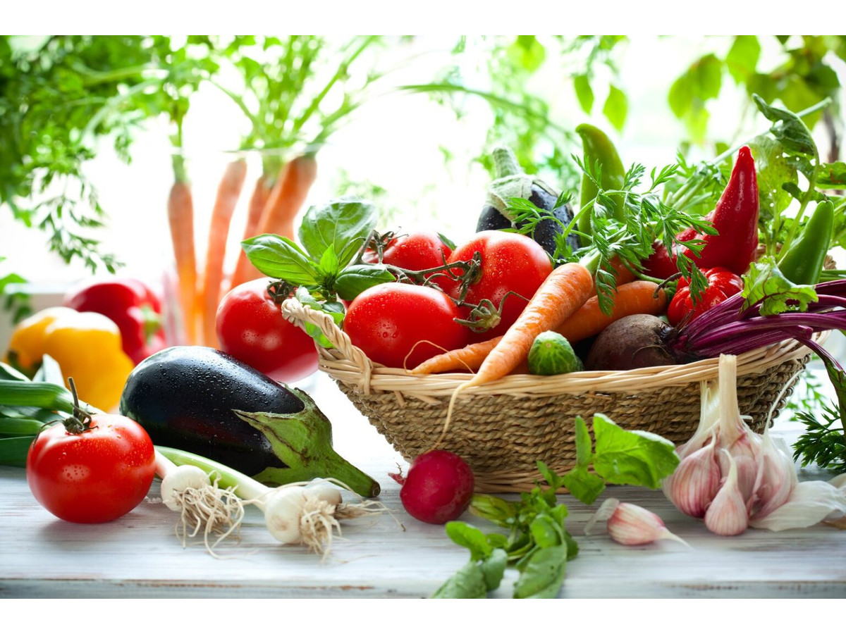 Cultivos Hortícolas