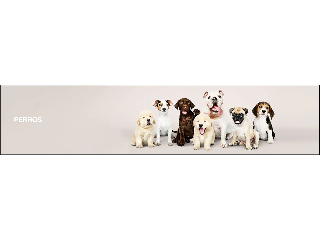 Perros