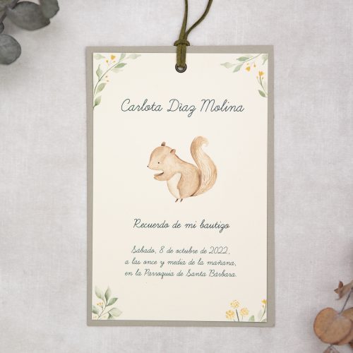 Colección invitaciones infantiles