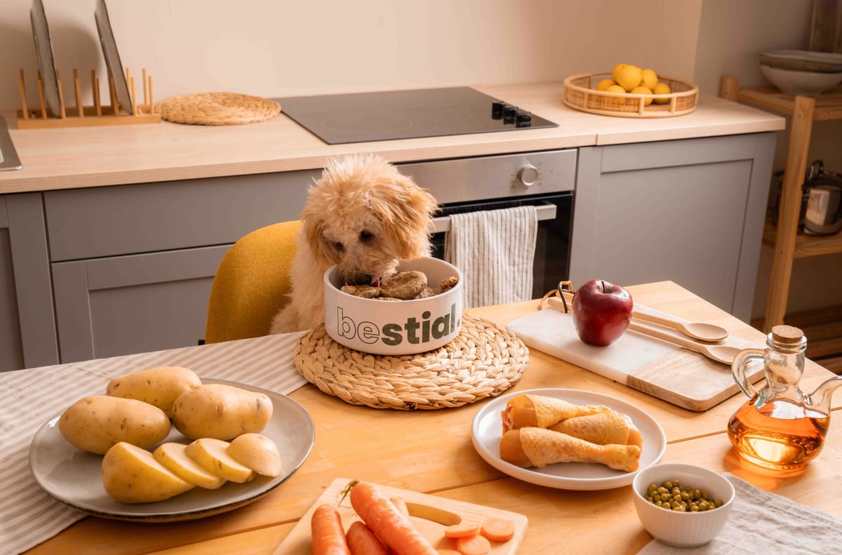 Receta Cachorro