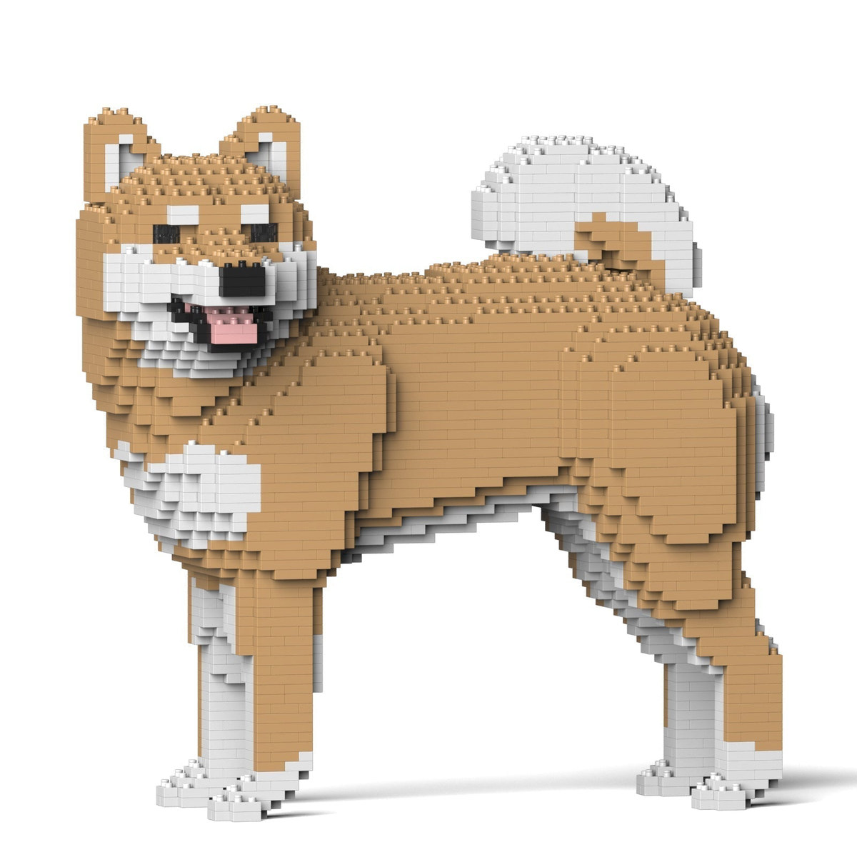 Shiba Inu 02S