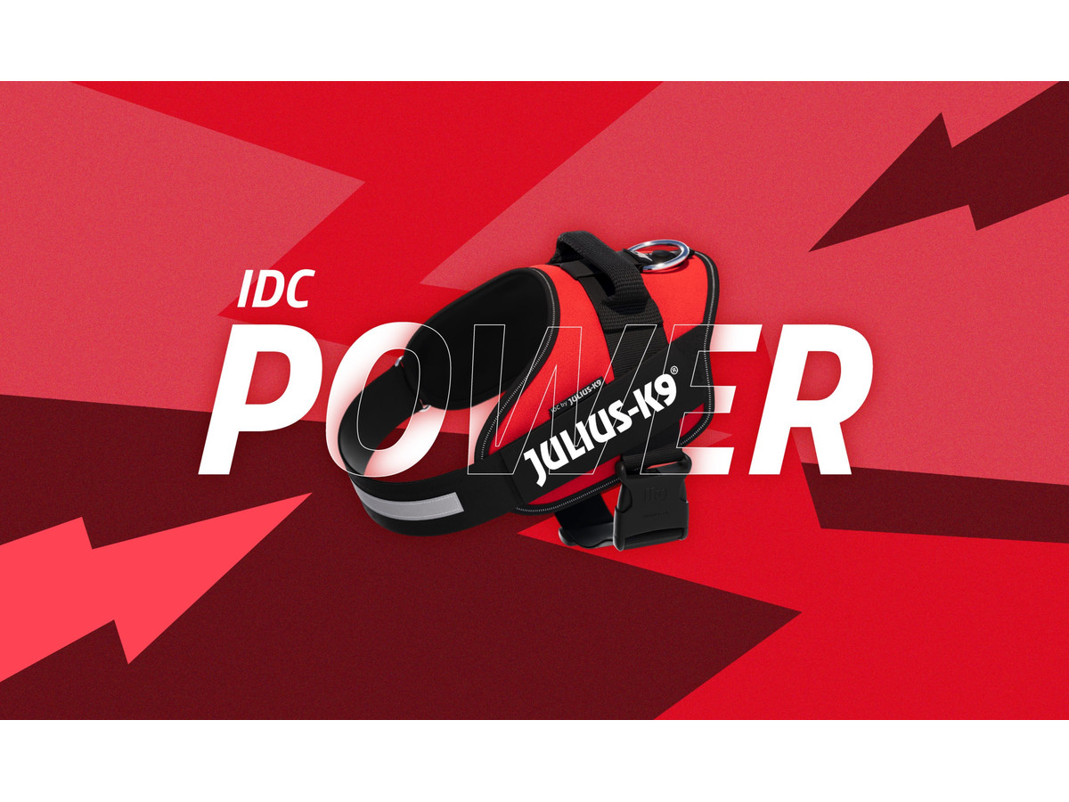 IDC Powerharness