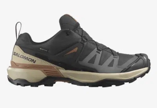 Salomon X Ultra 360 GTX