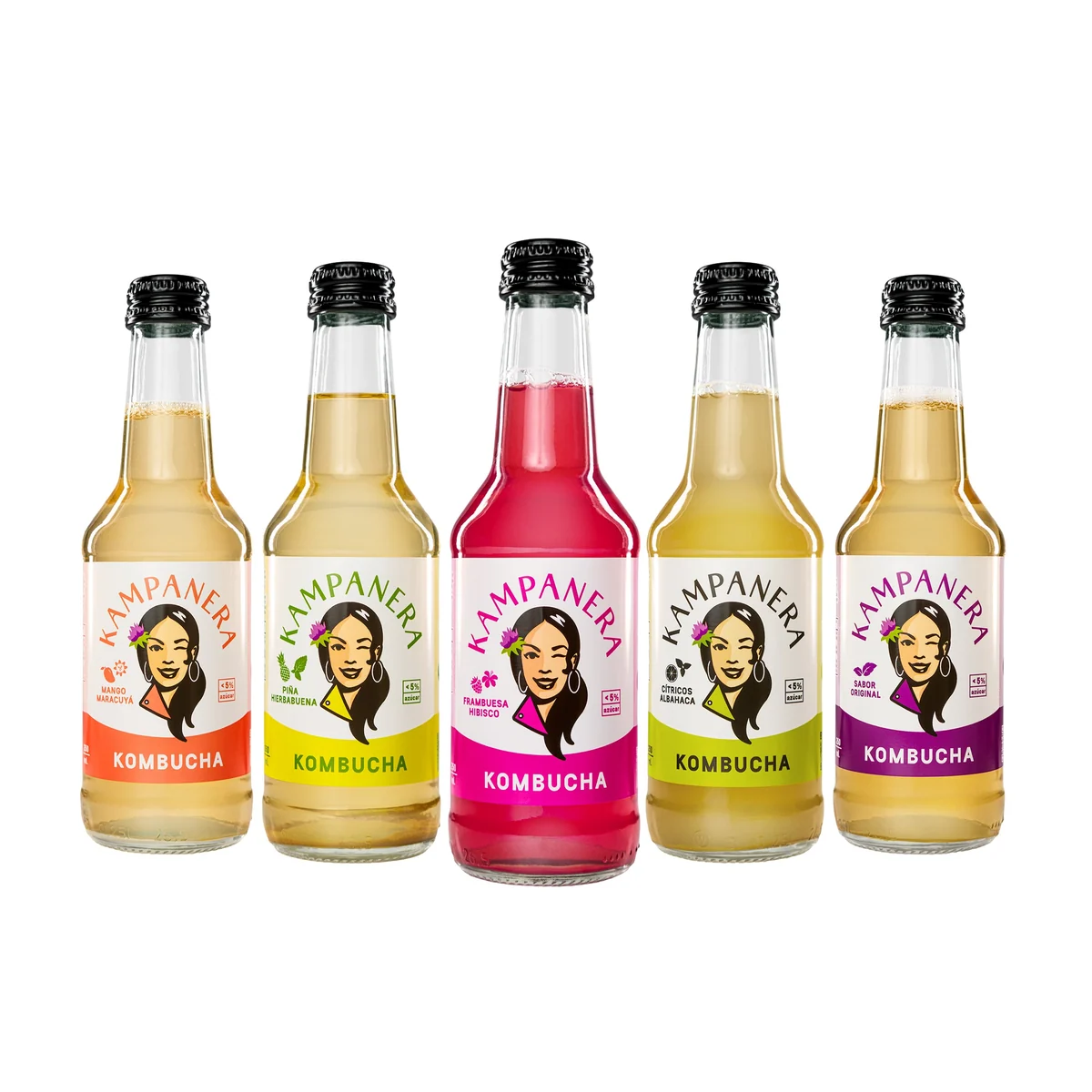 Pack Kombucha Kampanera 5 Estrellas