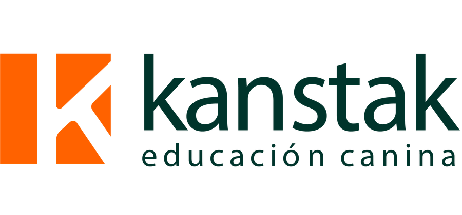 Logo de Kanstak