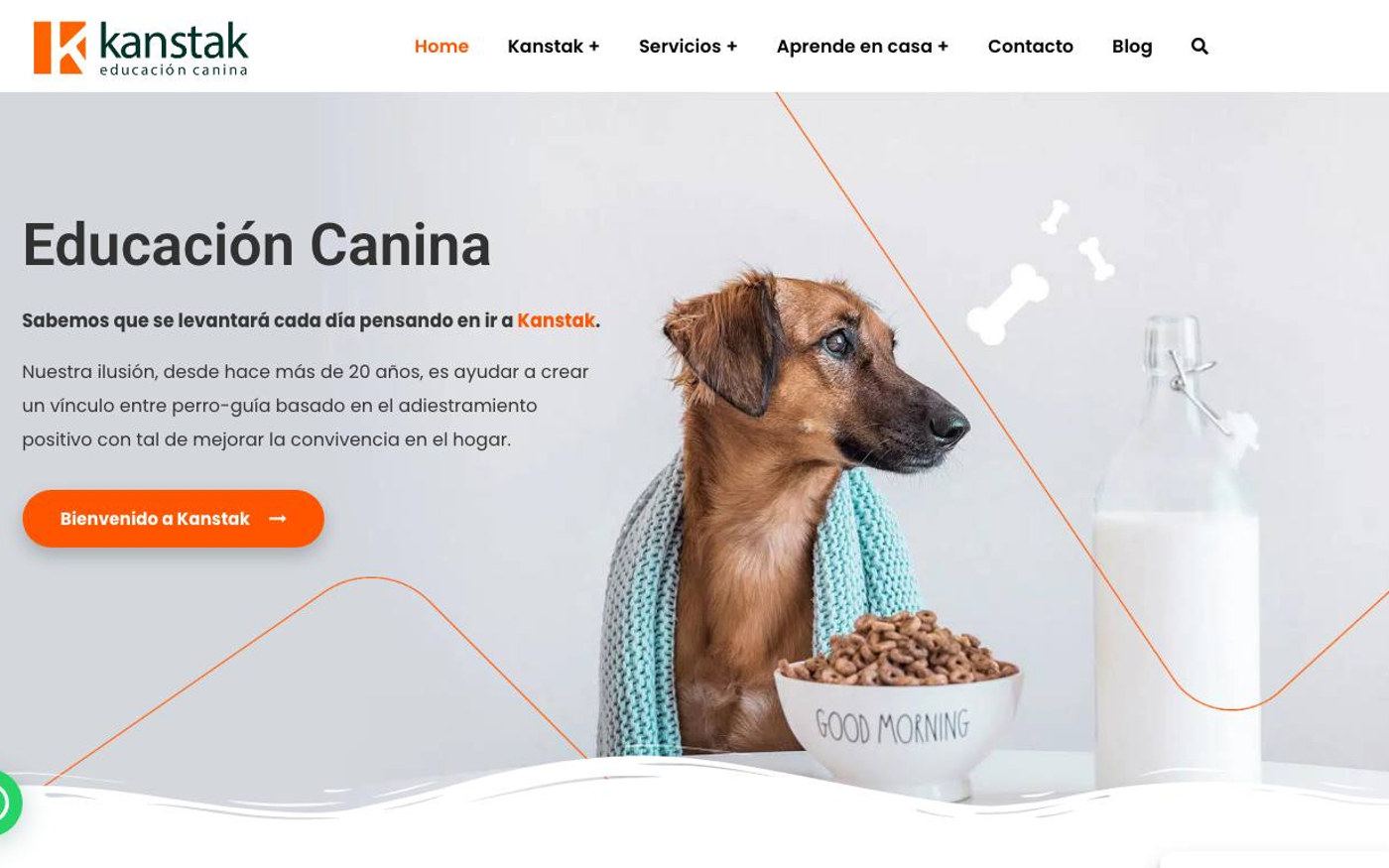 Captura de pantalla de la home de Kanstak