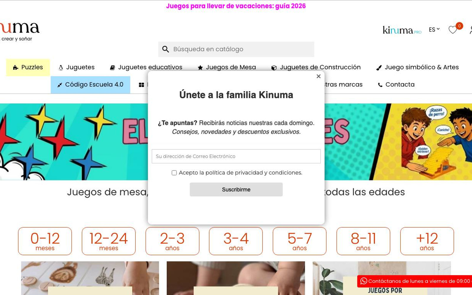 Captura limpia de la página de inicio de Kinuma