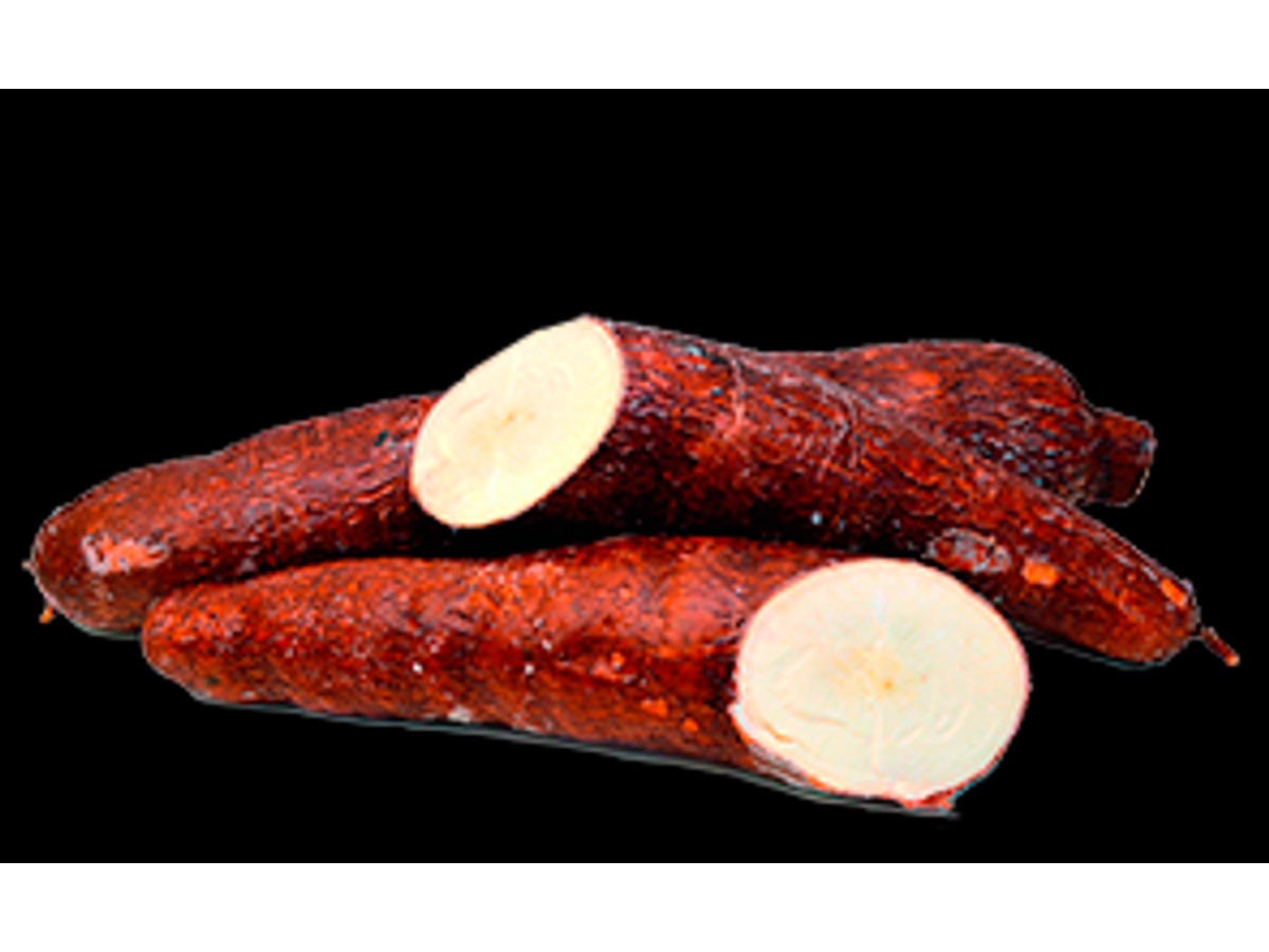 Snack de yuca