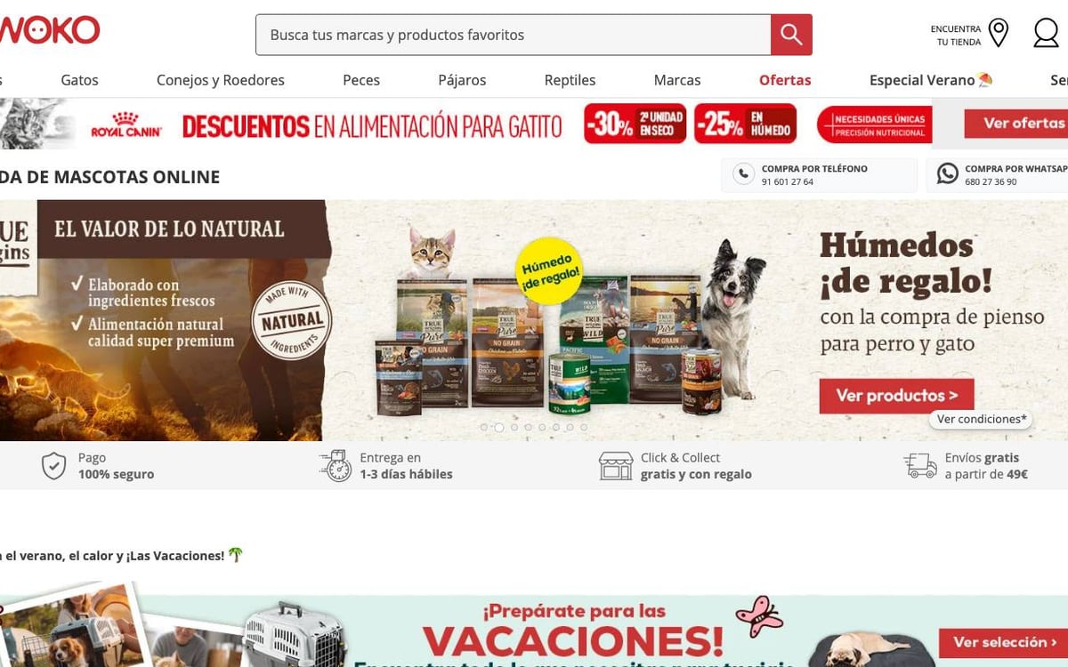 Captura limpia de la home oficial de Kiwoko
