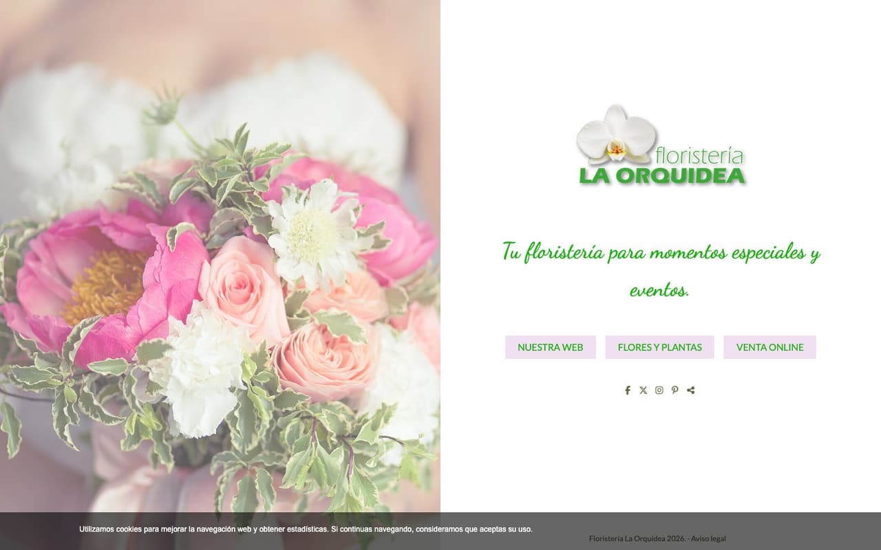 Captura limpia de la home oficial de La Orquídea Castellón